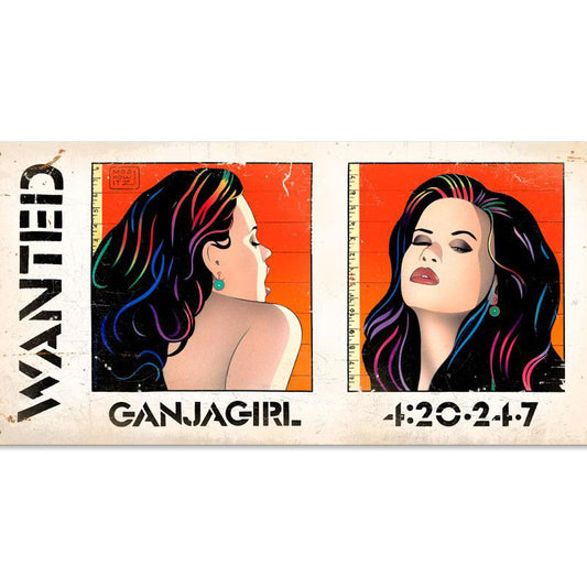 Wanted, Pinup Girls, Metal Sign, 12 X 24 Inches