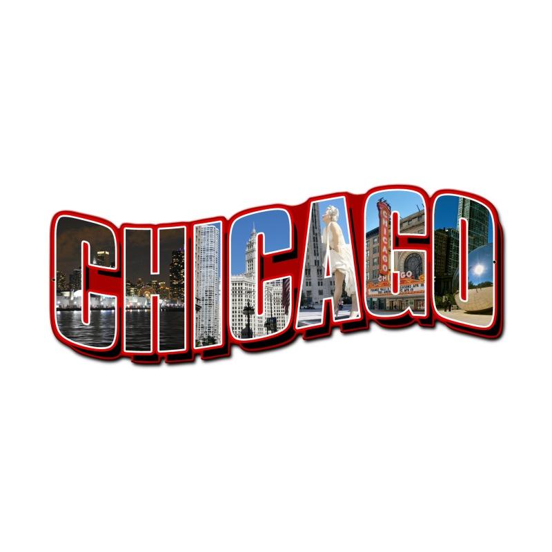 Chicago Landmarks, Travel, Custom Metal Shape, 24 X 11 Inches