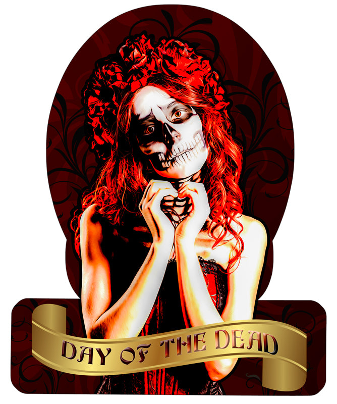 Skull Girl, Halloween, HELMET METAL SIGN , 12 X 15 Inches