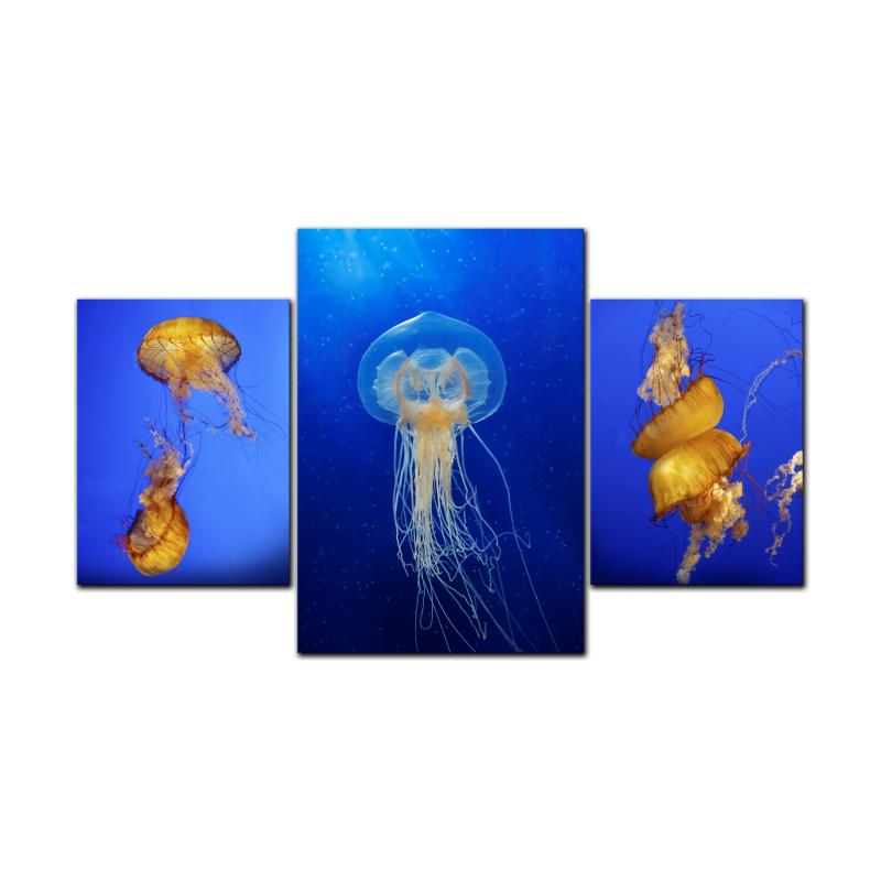 Jelly Fish Sea, Home and Garden, Triptych, 40 X 16 Inches