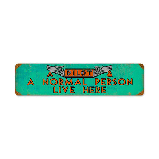 Pilot and Normal Person, Aviation, Vintage Metal Sign, 20 X 5 Inches
