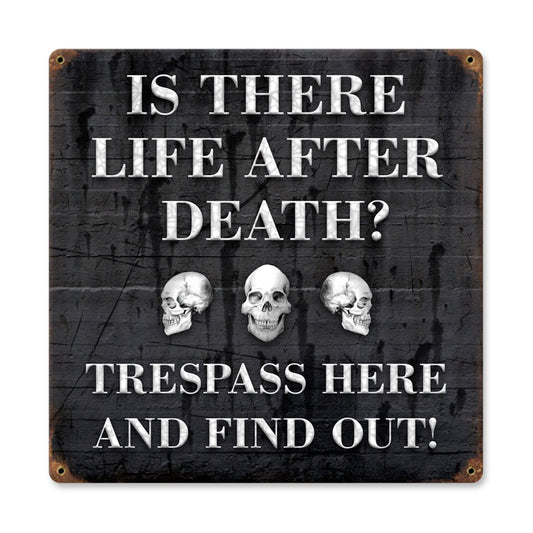 Life After, Humor, Vintage Metal Sign, 12 X 12 Inches