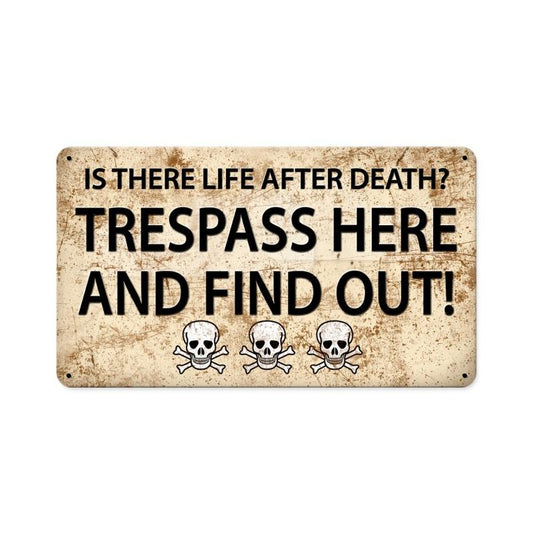 Is There Life Afer, Humor, Metal Sign, 14 X 8 Inches