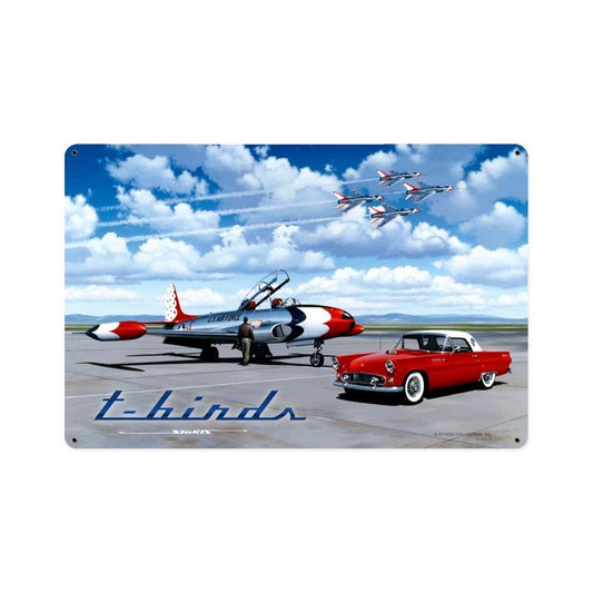 T Birds, Aviation, Vintage Metal Sign, 18 X 12 Inches
