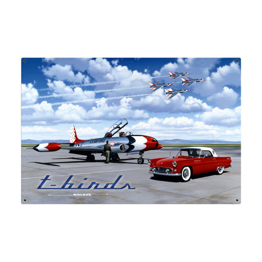 T Birds, Aviation, Metal Sign, 36 X 24 Inches