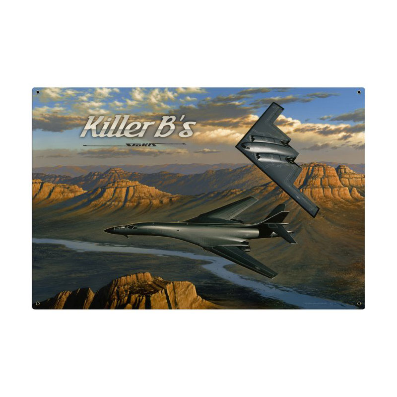 Killer Bees, Aviation, Metal Sign, 36 X 24 Inches