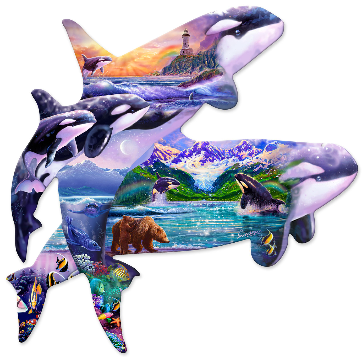 Orca Shape, Featured Artists/Shell, PLASMA , 24 X 23 Inches