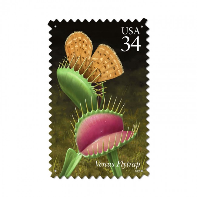 Venus Flytrap, Home and Garden, Custom Metal Shape, 15 X 24 Inches