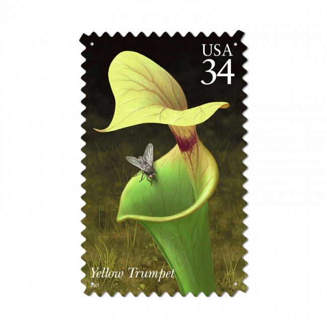 Yellow Trumpet, Home and Garden, Custom Metal Shape, 15 X 24 Inches