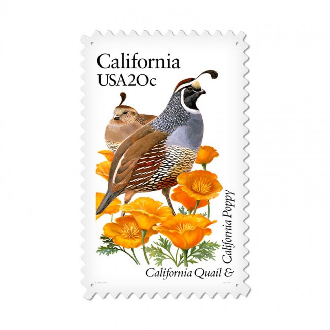 California Quail, Home and Garden, Custom Metal Shape, 15 X 24 Inches