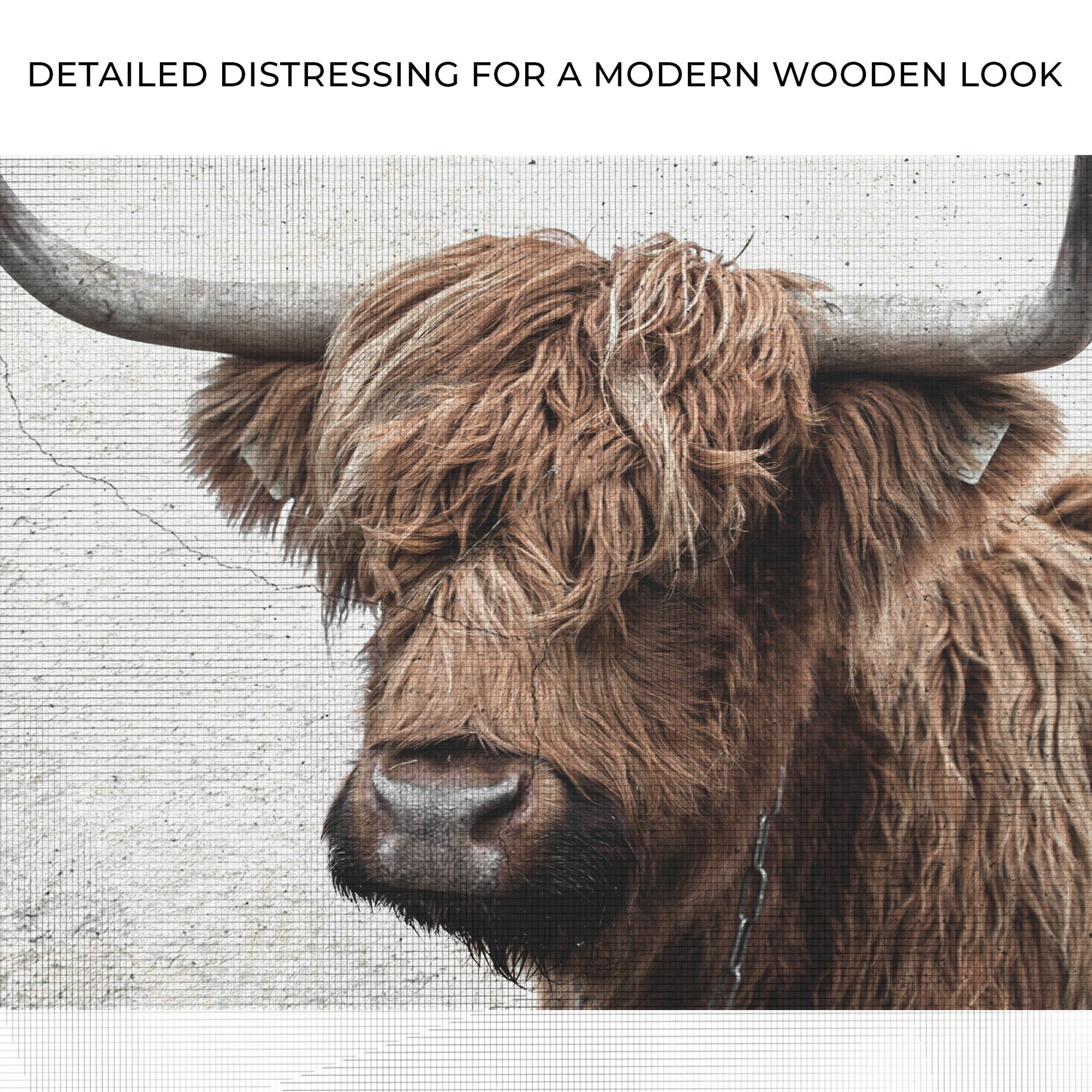 Natural Rustic Highland Cow Canvas Wall Art